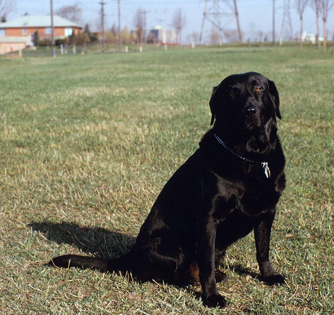 Duke At Hydro Park Princess Margaret